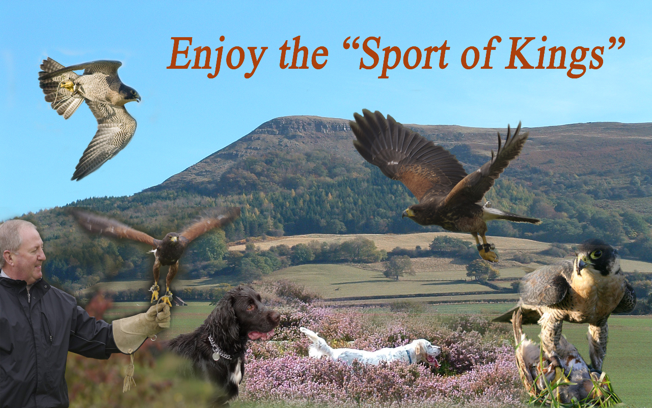 Hunting Page